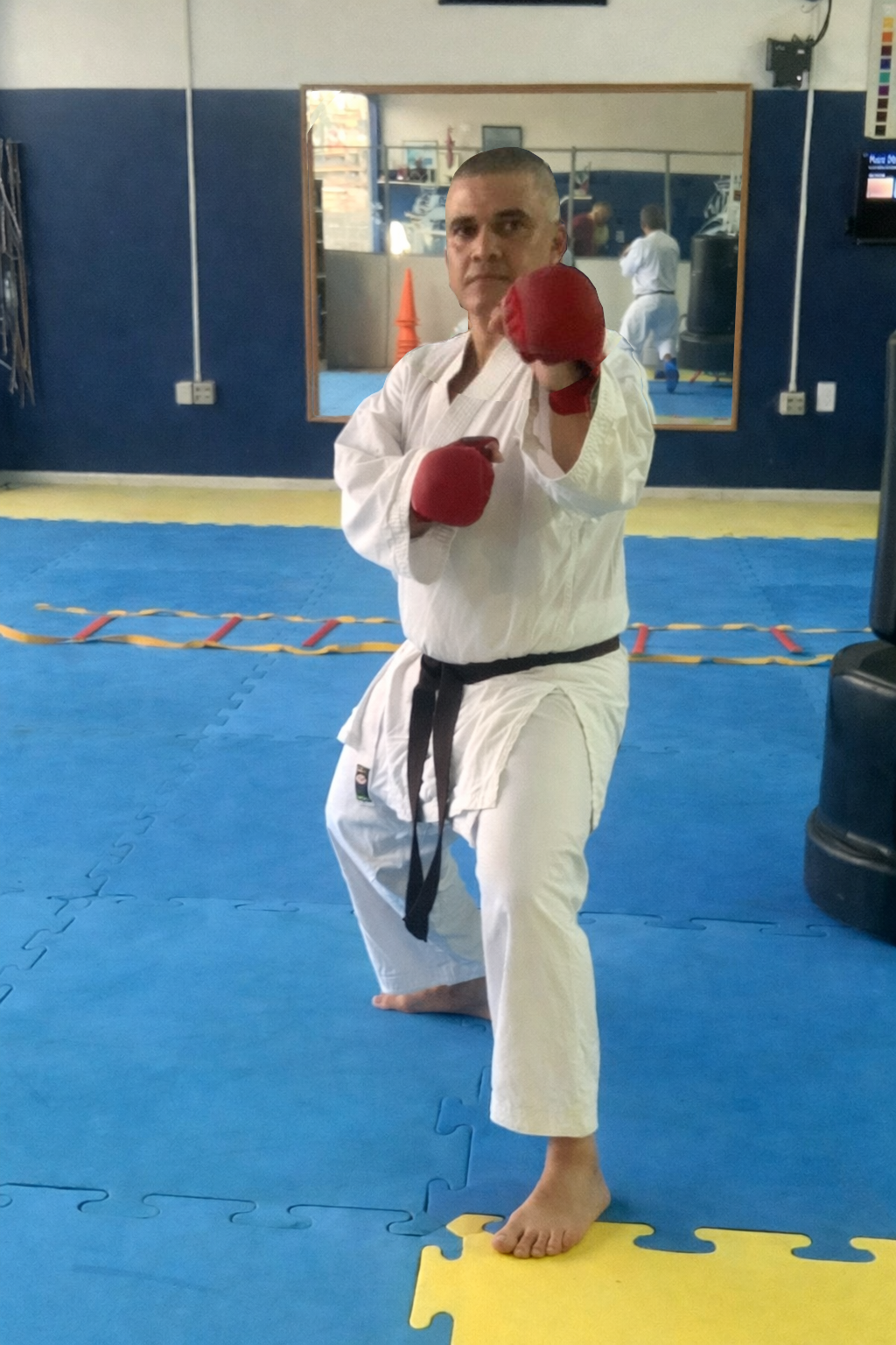 Sensei Lemos