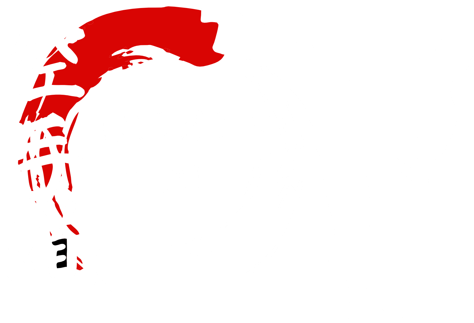 Logo DojoKai